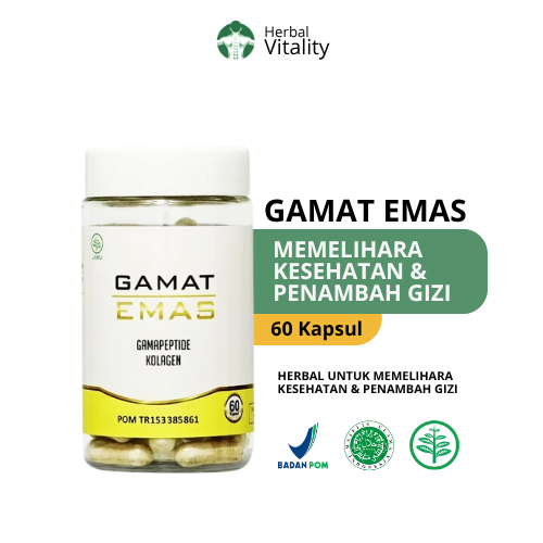 Kapsul Ekstrak GAMAT EMAS Al Afiat Isi 60 Kapsul / Kapsul Gamat / Isi 60 Kapsul / ASLI / GAMAT EMAS 