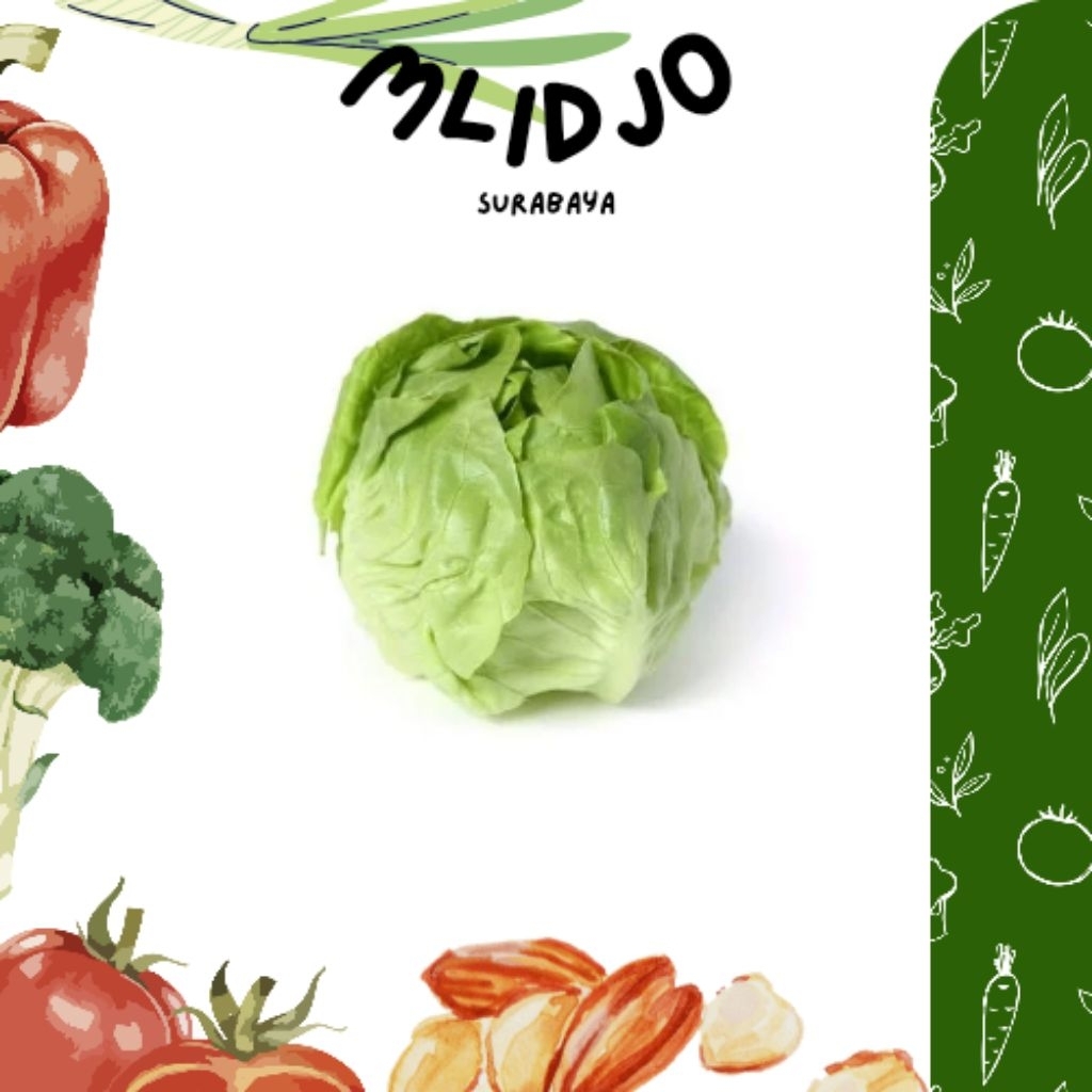 LETTUCE HEAD LETTUCE ICEBERG SAYUR BANDUNG GROSIR 500GR TERMURAH BISA KIRIM SELURUH INDONESIA