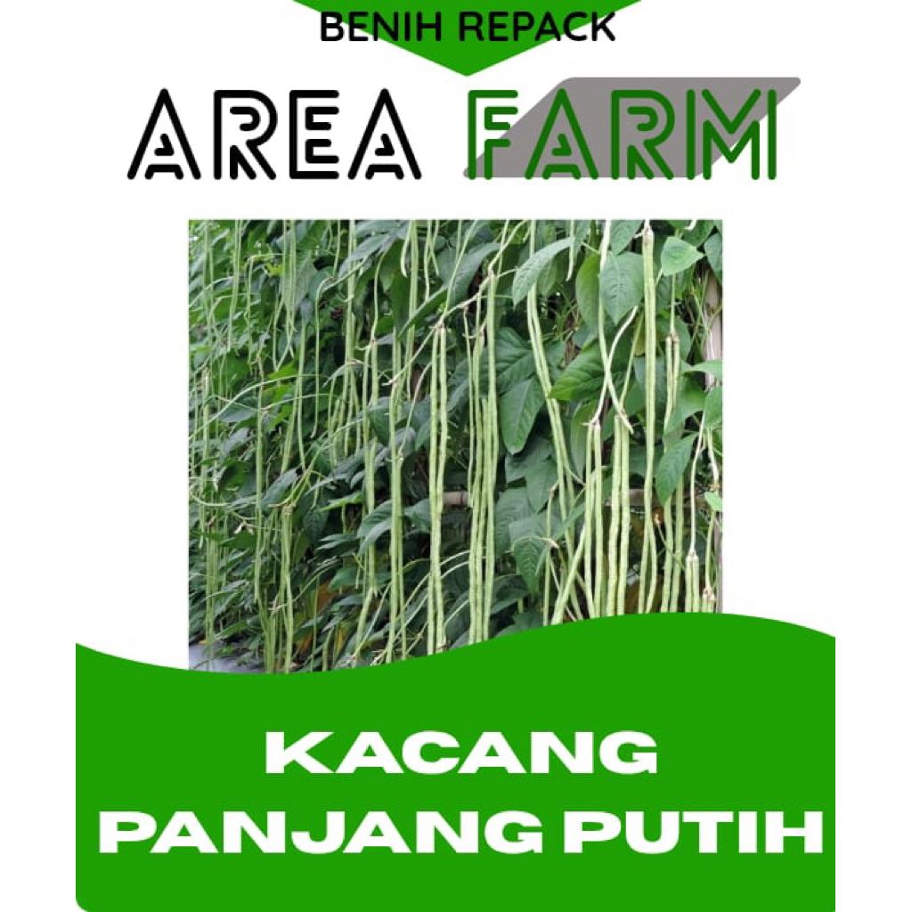 benih kacang panjang putih 1000 an