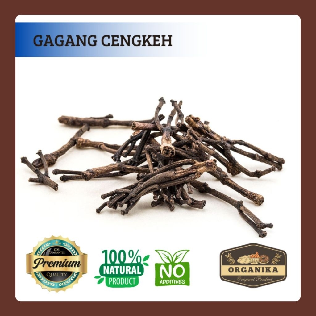 Gagang Cengkeh 1kg / Tangkai Cengkeh