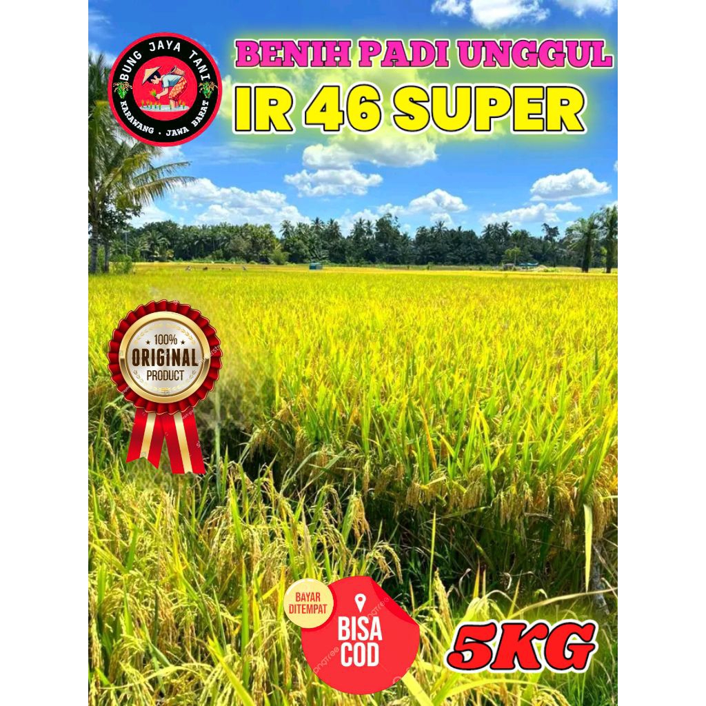 BENIH PADI BERKUALITAS IR 46 SUPER KEMASAN 5KG ORIGINAL