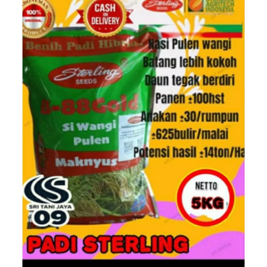 Benih Padi Unggul STERLING B-88GOLD kemasan 5kg Berkualitas Super
