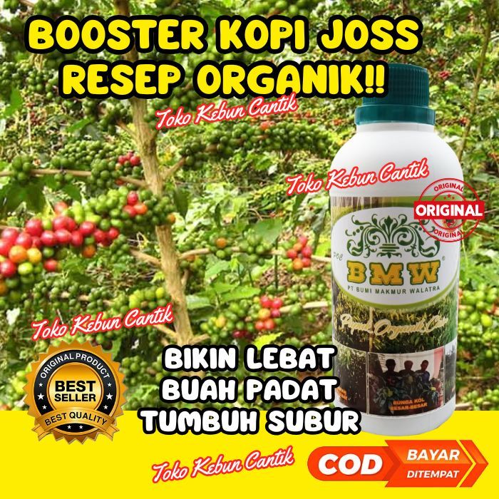 Bagus Memang. Pupuk Kopi Organik POC BMW 500ml – Perangsang Pembungaan dan Pembesaran Buah Kopi, Bki