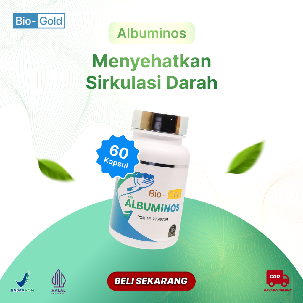 KAPSUL ALBUMINOS Ekstrak Ikan Gabus Albumin ASLI BIO GOLD