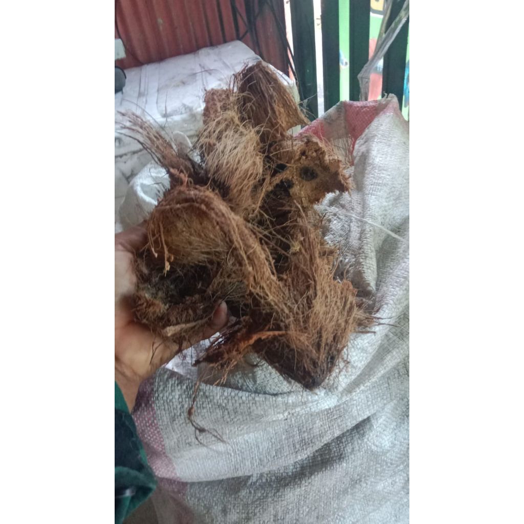 Sabut kelapa 1 KG