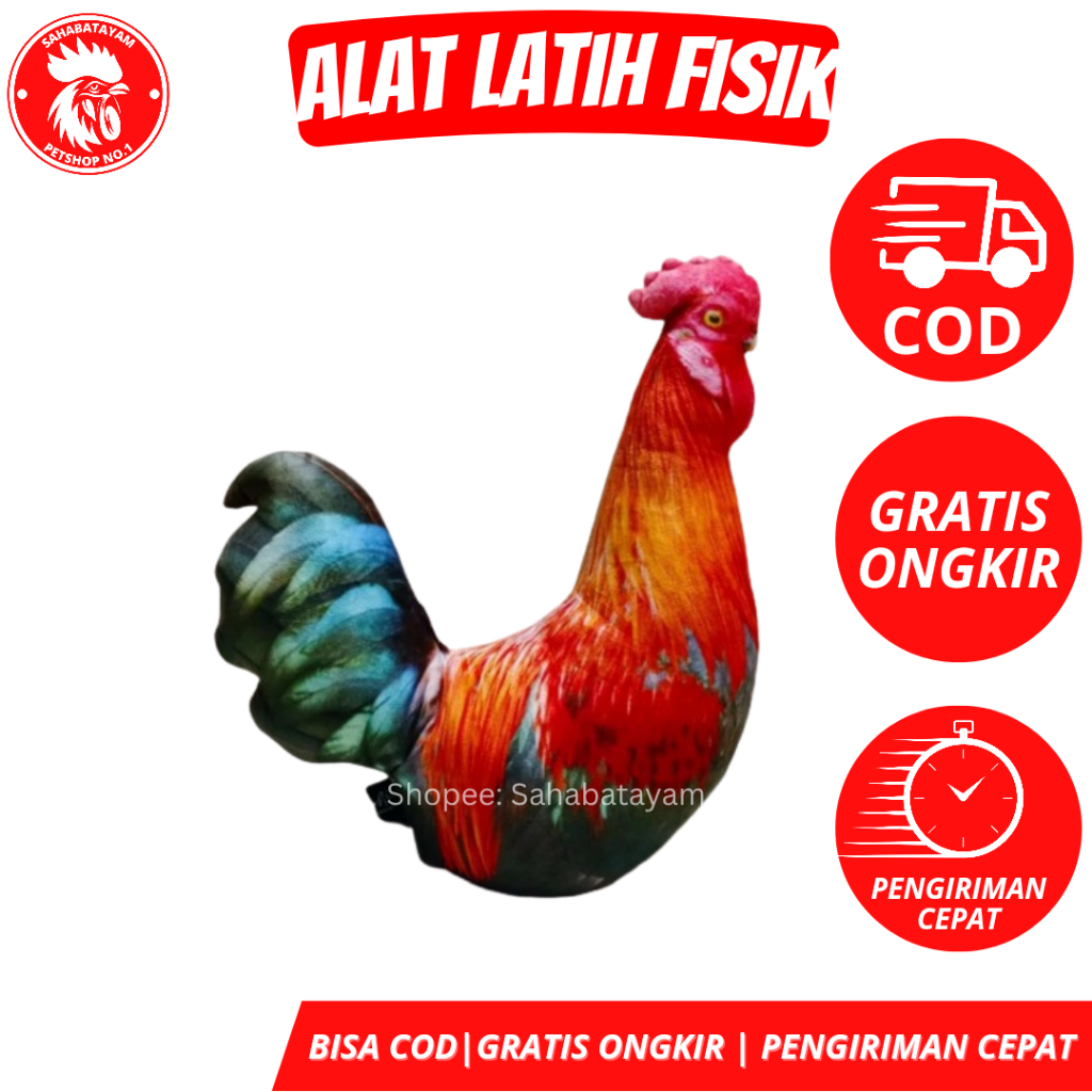 Boneka Ayam Jago Untulan Ayam Alat Latihan Fisik Ayam