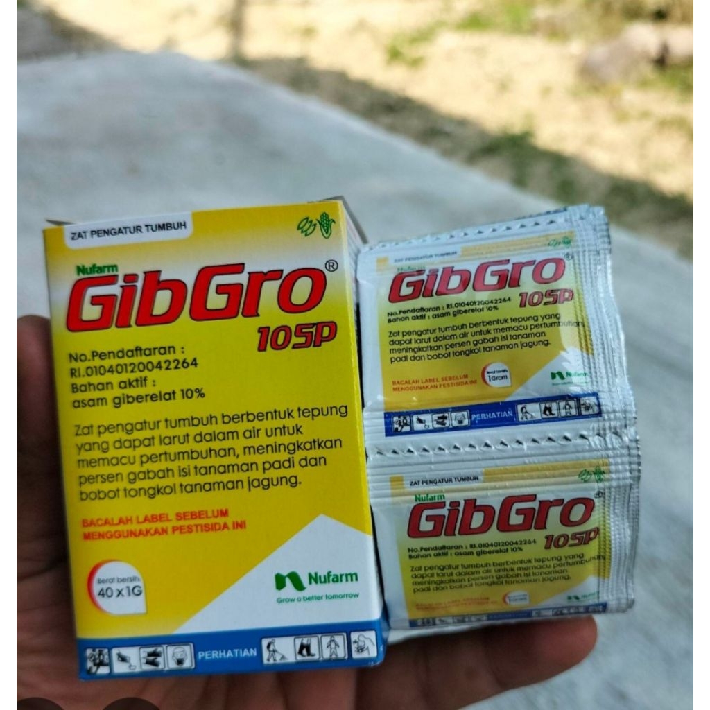 Gibgro 10 SP