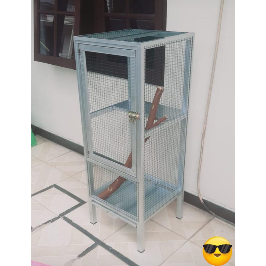 kandang iguana display