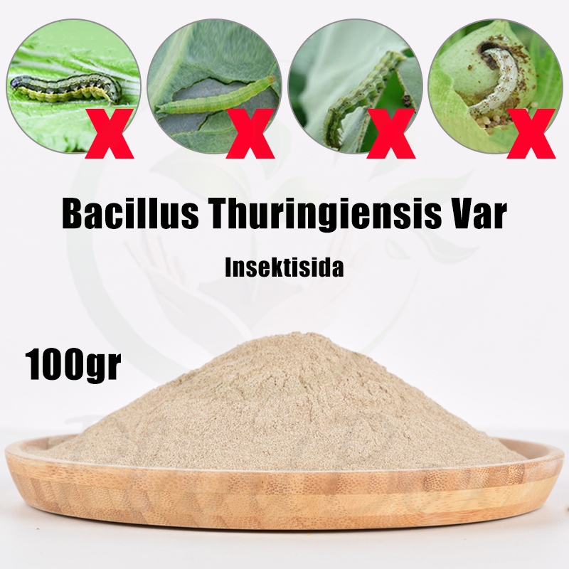 Insektisida / Bioinsektisida Bacillus / 100g Bacillus Thuringiensis