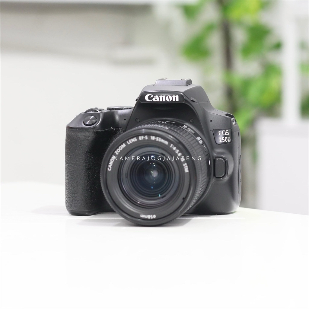 CANON 250D LENSA KIT STM