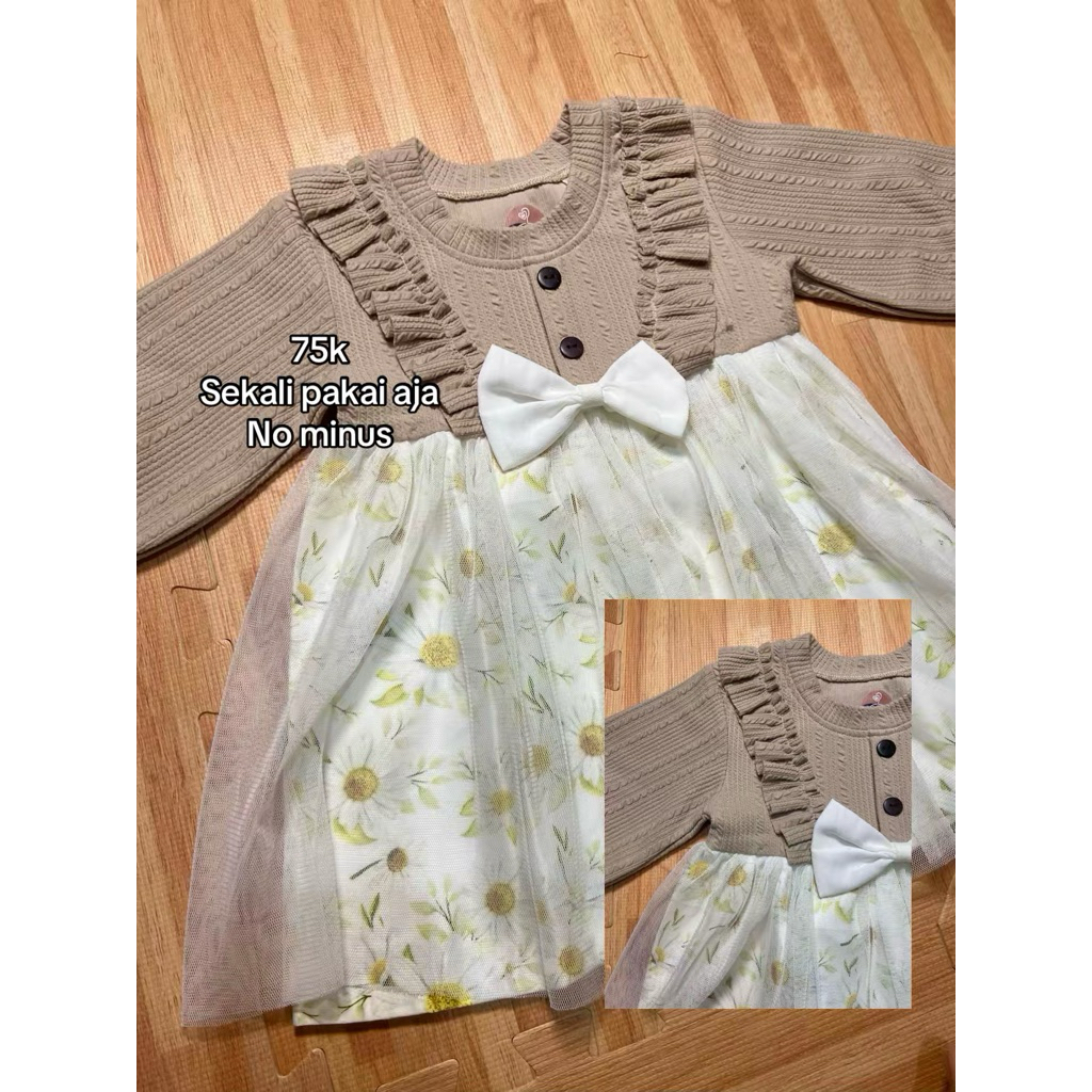 PL Dress