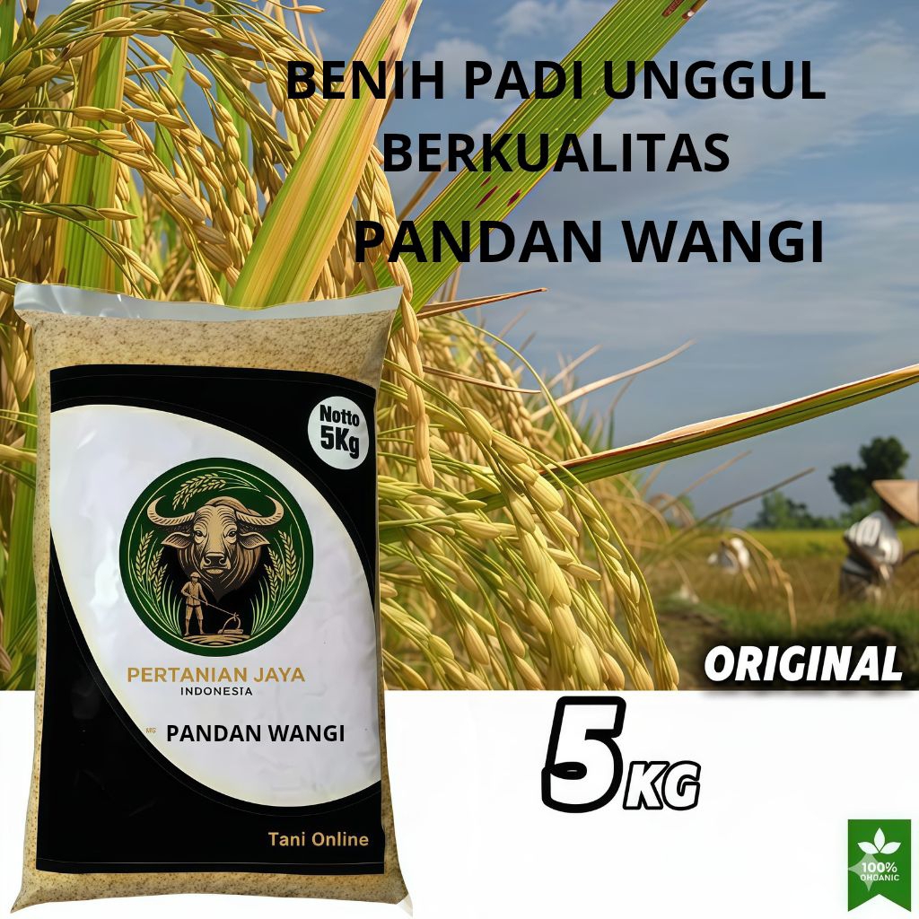 BENIH PADI UNGGUL PANDAN WANGI ASLI KEMASAN 5KG