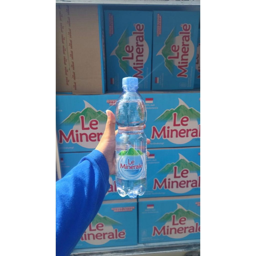Lemineral 600 ml /karton