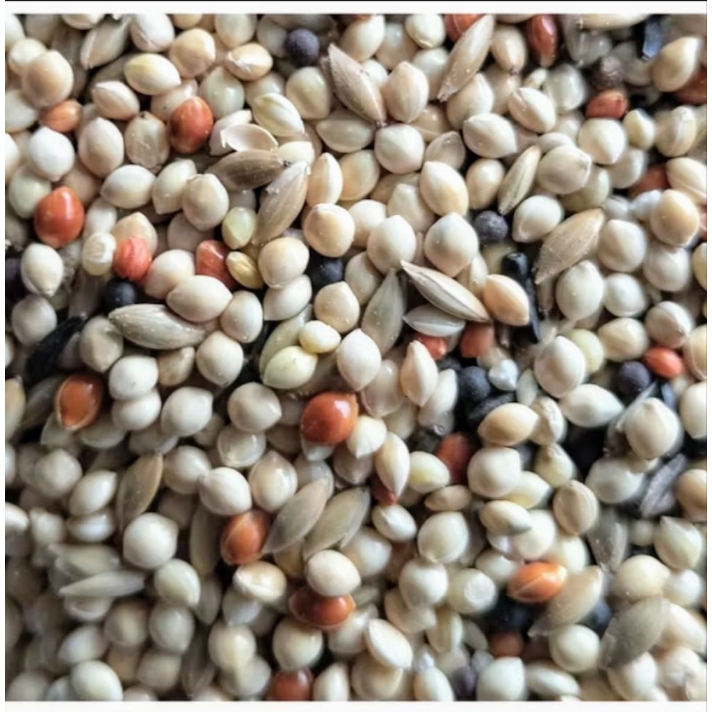 [PROMO ]-Milet campur lengkap biji-bijian 1kg untuk pakan burung perkutut /love bird