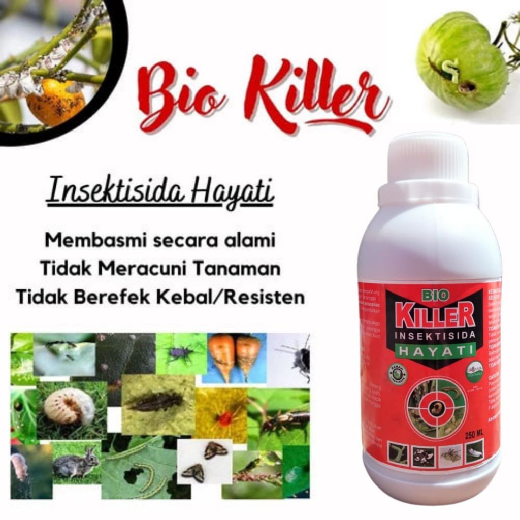 Pestisida Pembasmi Ulat, Insektisida Obat Hama Ulat Belalang Wereng Walang