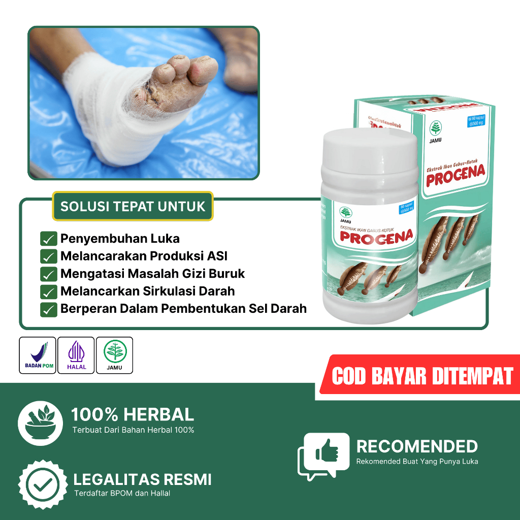 KAPSUL KUTUK PREMIUM PROCENA KAPSUL ALBUMIN TERLARIS - Pengering Penyembuhan Luka Diabetes / Pasca O