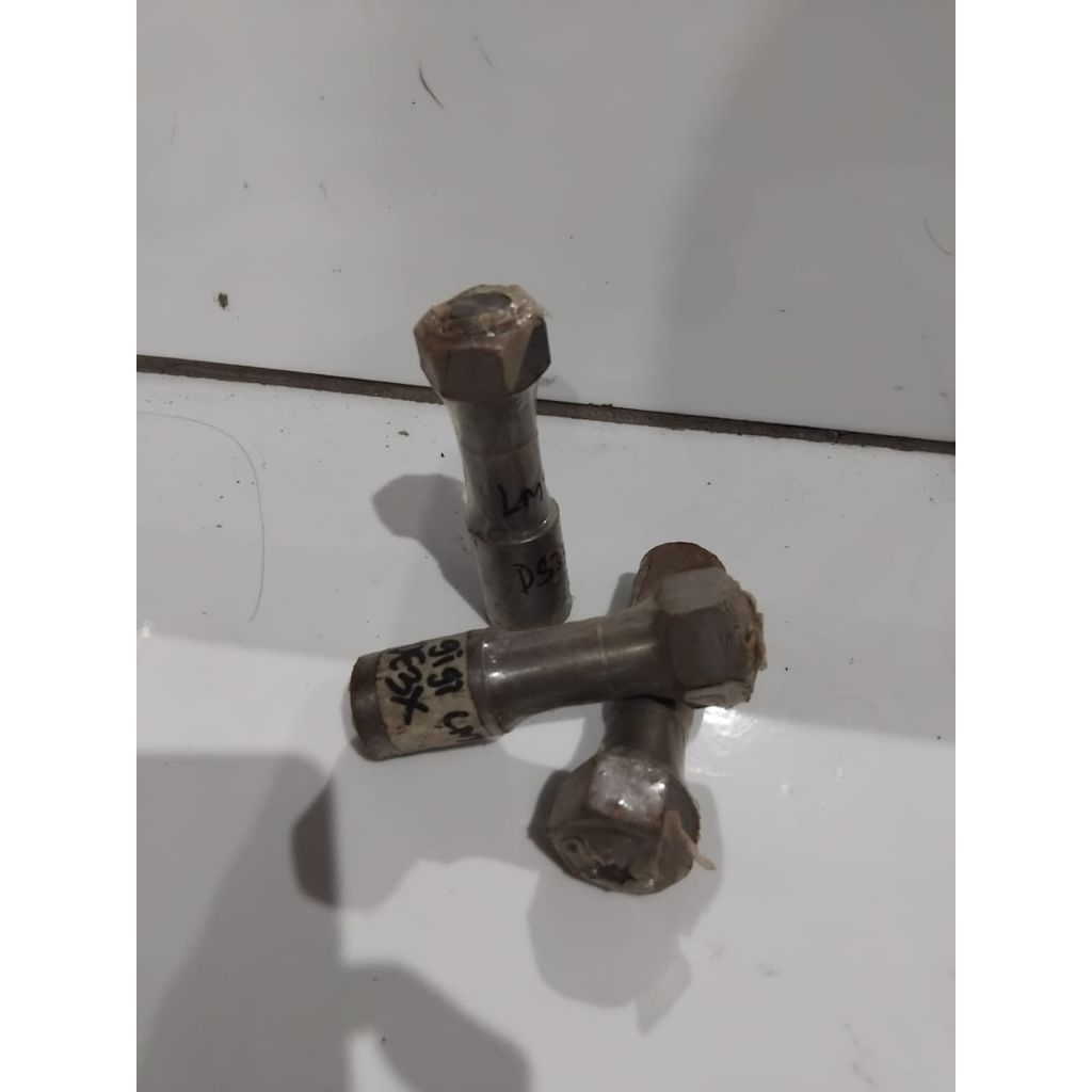 AS GIGI LM PENDEK / AS GIGI PK LM