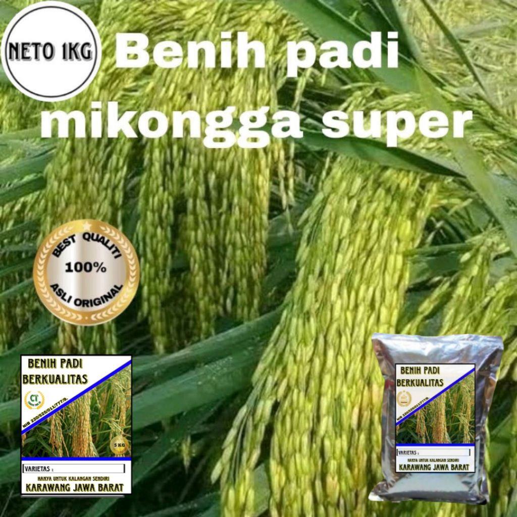 BENIH PADI MEKONGGA SUPER UNGGUL 1KG