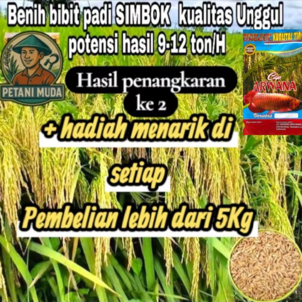 Benih bibit padi simbok kualitas unggul 1KG