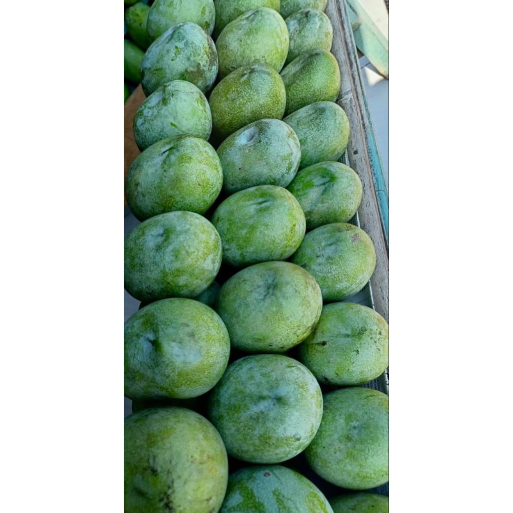 Mangga Manalagi | Karton 10kg | Khas Probolinggo |