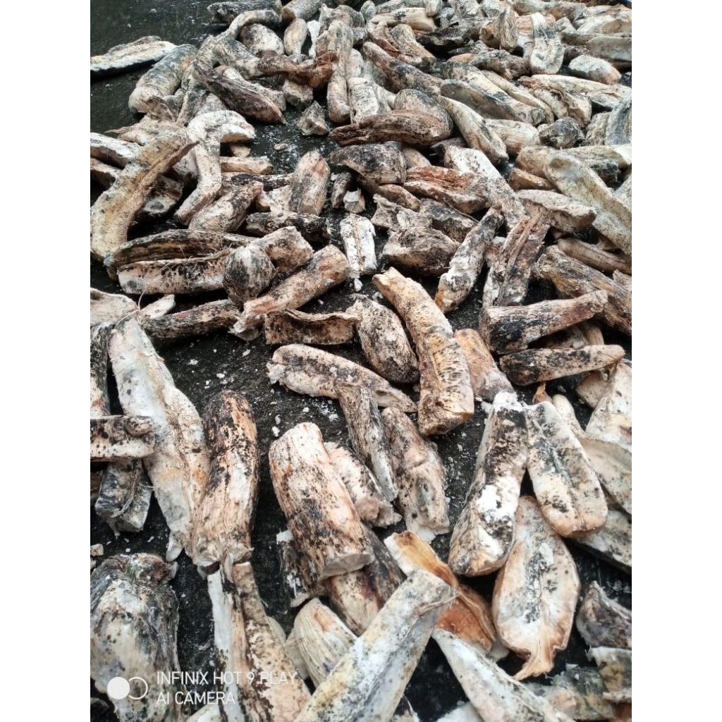 Gatot mentah/Gatot Boyolali/1kg