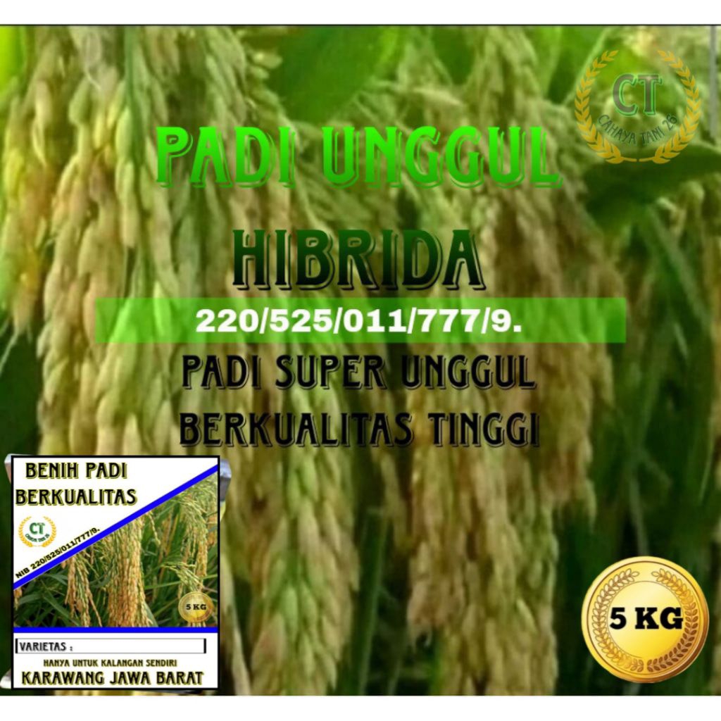 BENIH PADI SUPER UNGGUL HIBRIDA 5KG