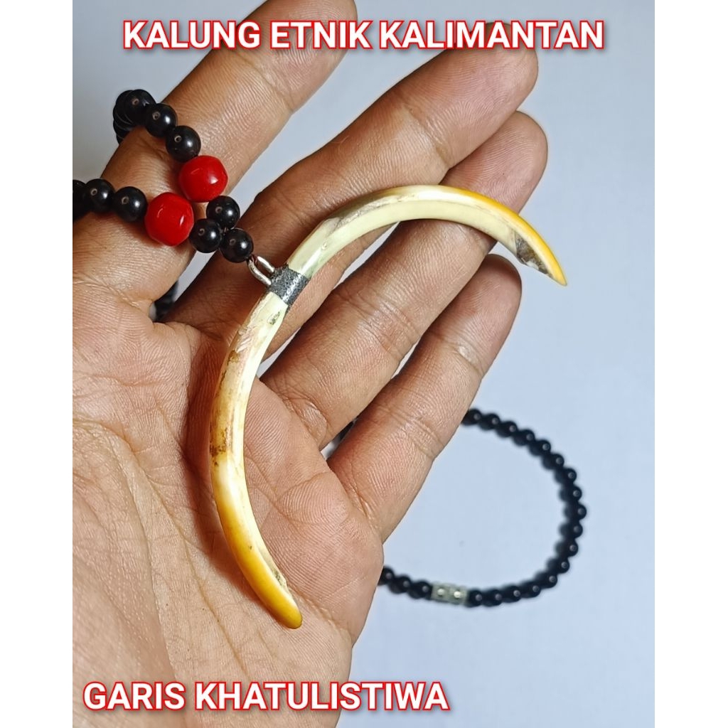 KALUNG ETNIK KALIMANTAN 19