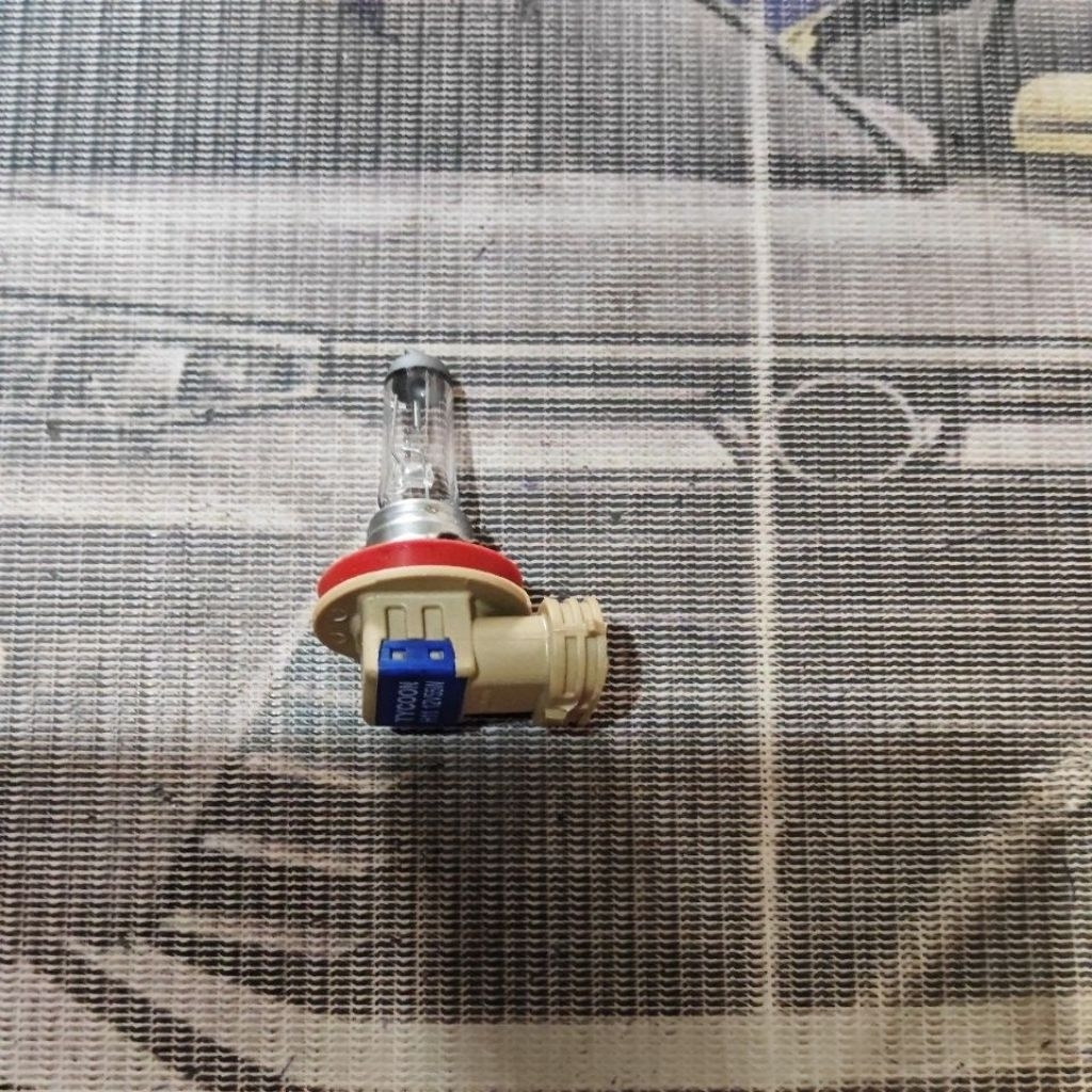 bola lampu halogen h11 12v 55watt