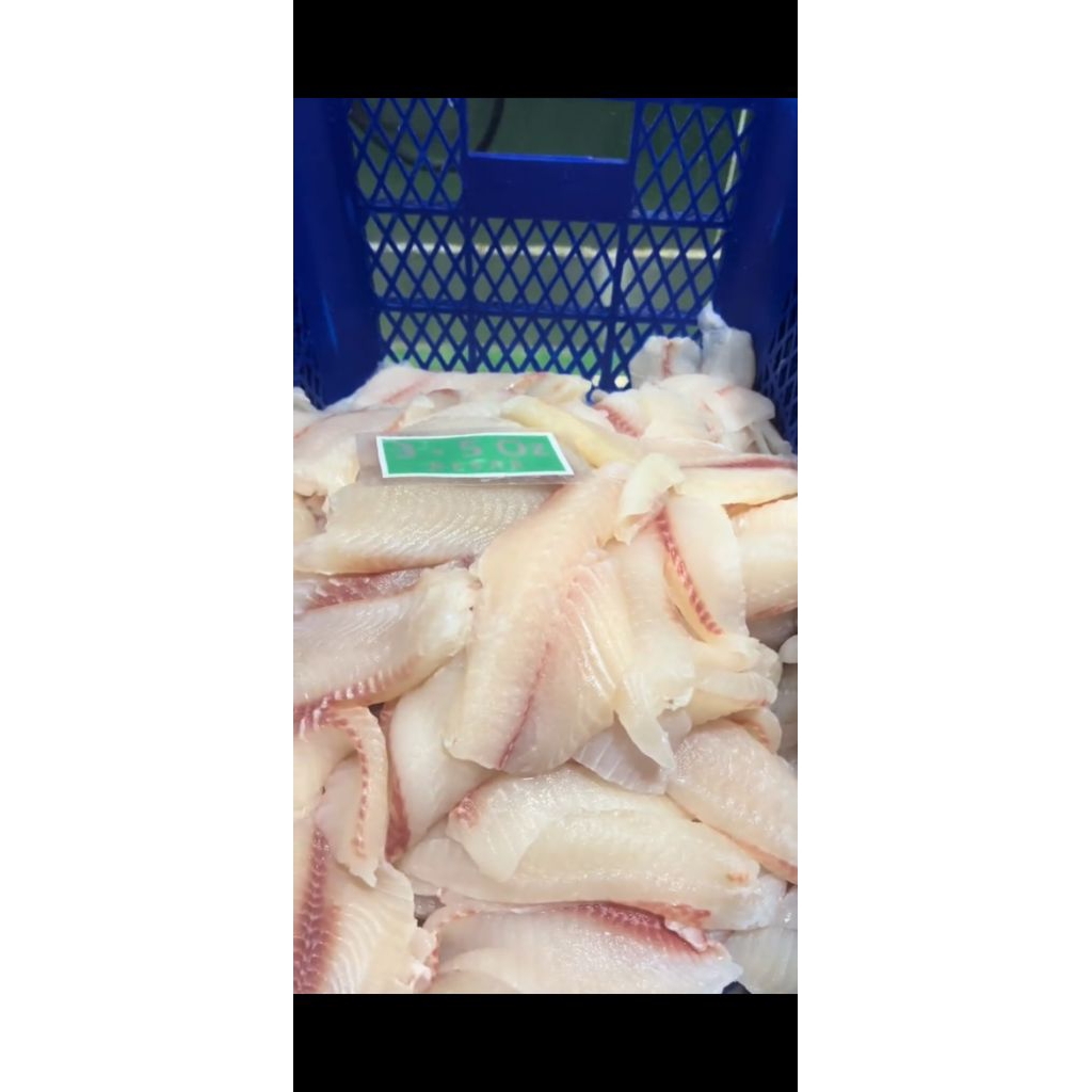 daging ikan nila fillet