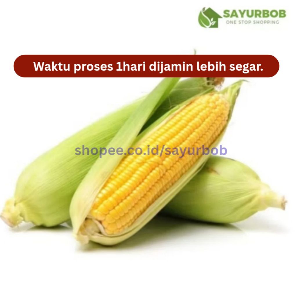 Jagung Manis Besar SayurBob