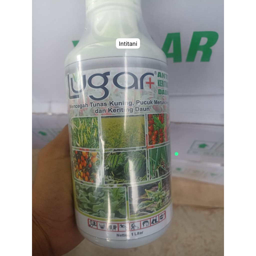 LUGAR + Nutrisi Tanaman Anti Kriting