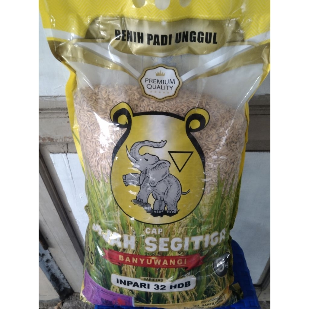 Benih Padi Unggul Inpari 32 HDB Cap Gajah Segitiga – Hasil Panen Melimpah & Tahan Hama