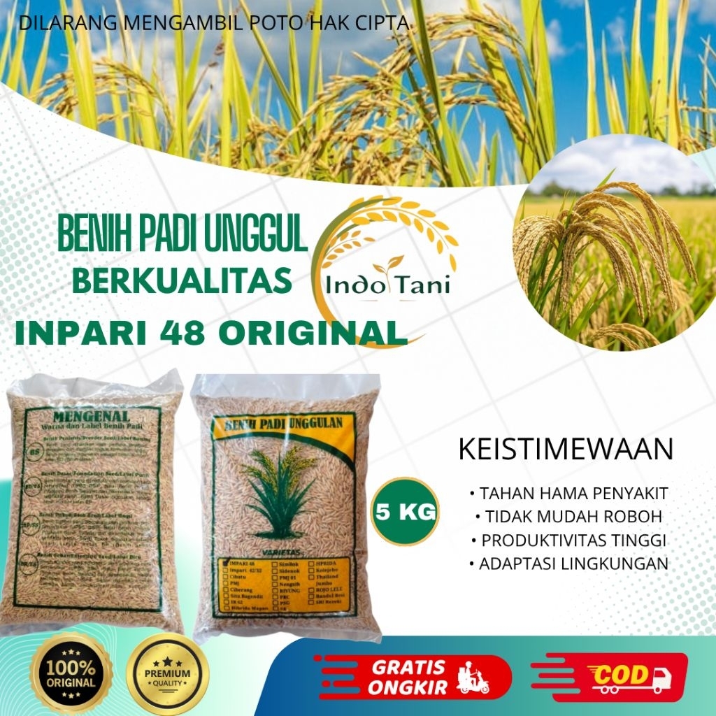 Benih Bibit Padi Unggul Berkualitas Premium Original INPARI 48 Kemasan 5 KG