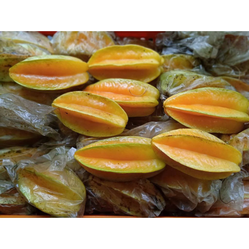 BELIMBING BANGKOK MERAH