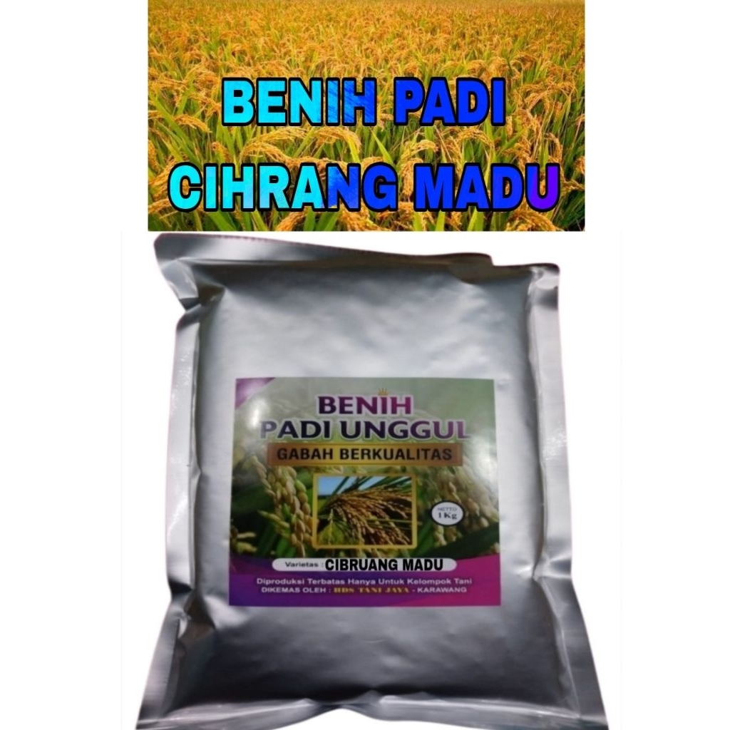 Benih padi 1kg CIHERANG MADU super UNGGUL OROGINAL LABEL PUTIH