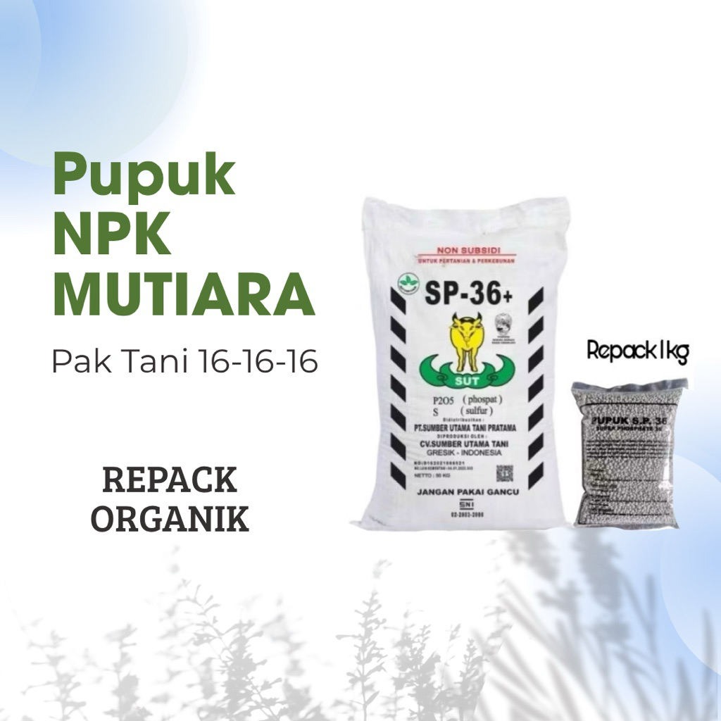 Pupuk TSP SP36 Super Fosfat 250g – Pupuk Penyubur Akar Tanaman