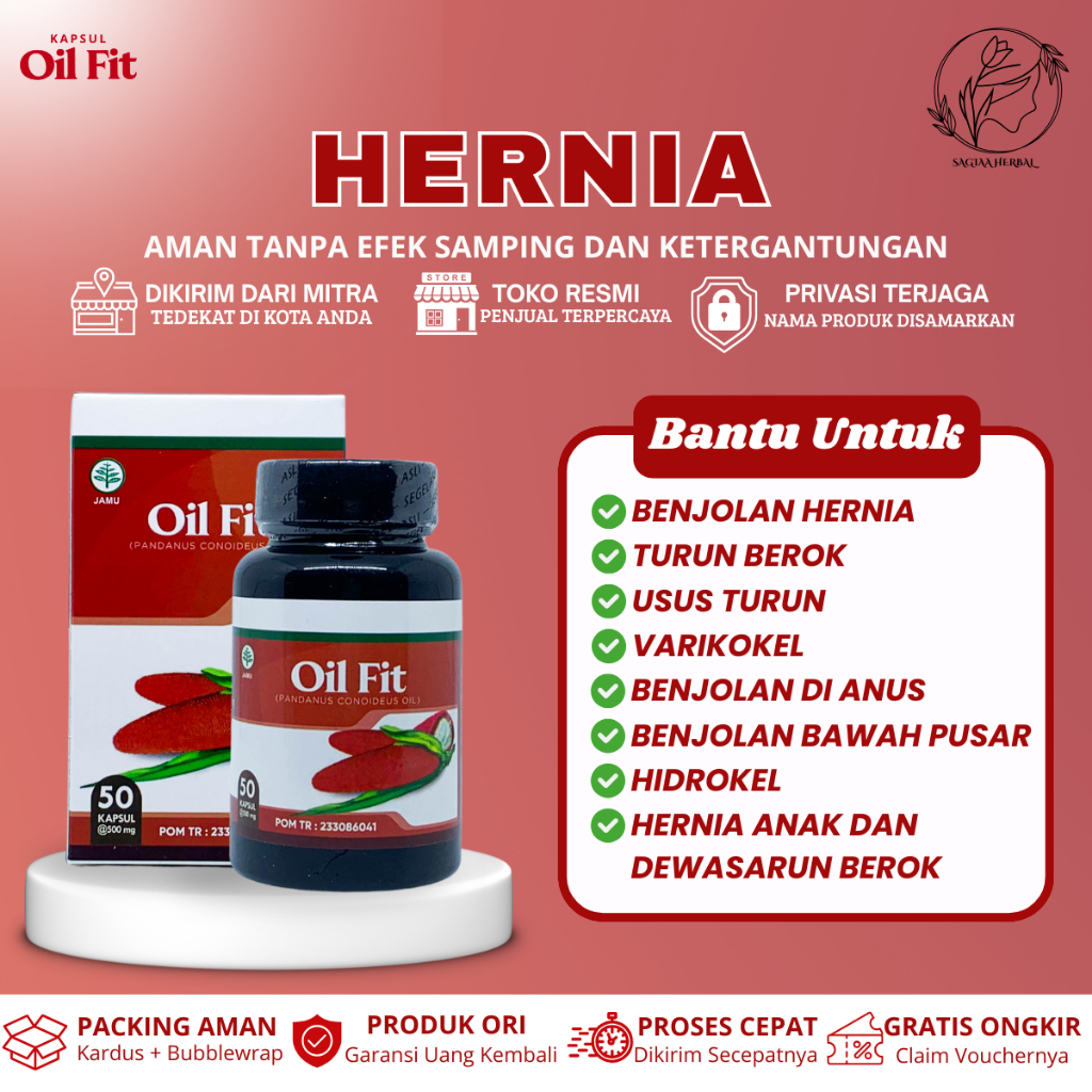 Oil Fit Obat Herbal Untuk Hernia Turun Berok Benjolan Dibawah Pusar Usus Turun Kapsul Oil Fit Ekstra