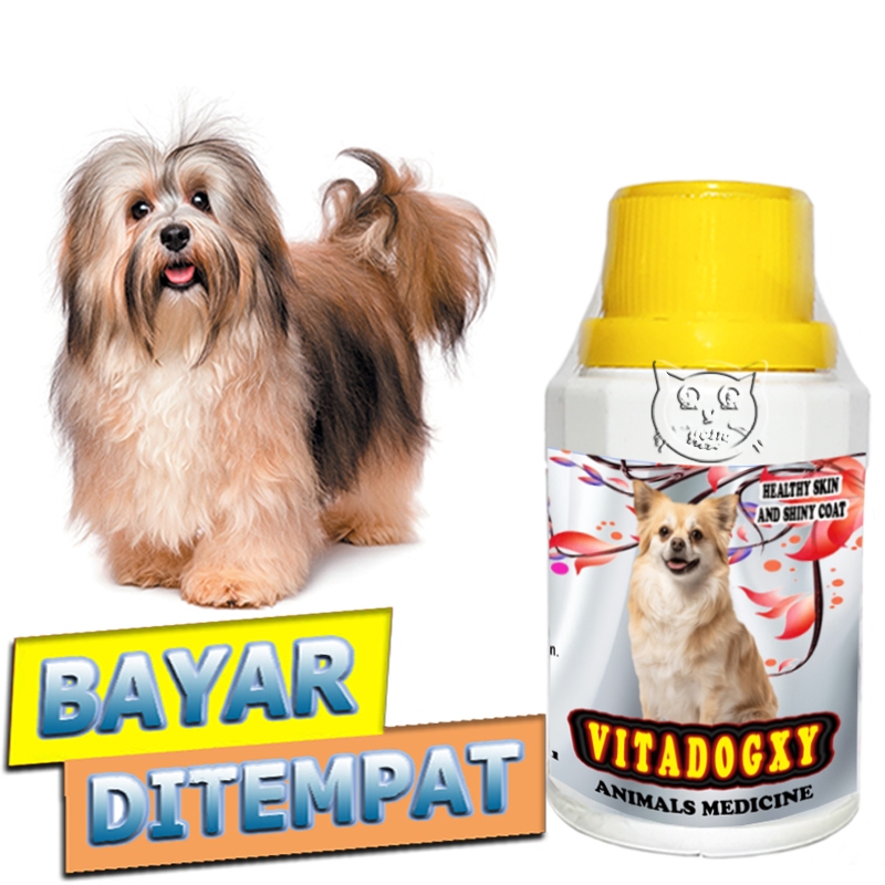 Vitadogxy Vitamin Penumbuh Bulu Anjing Pelebat Anti Rontok