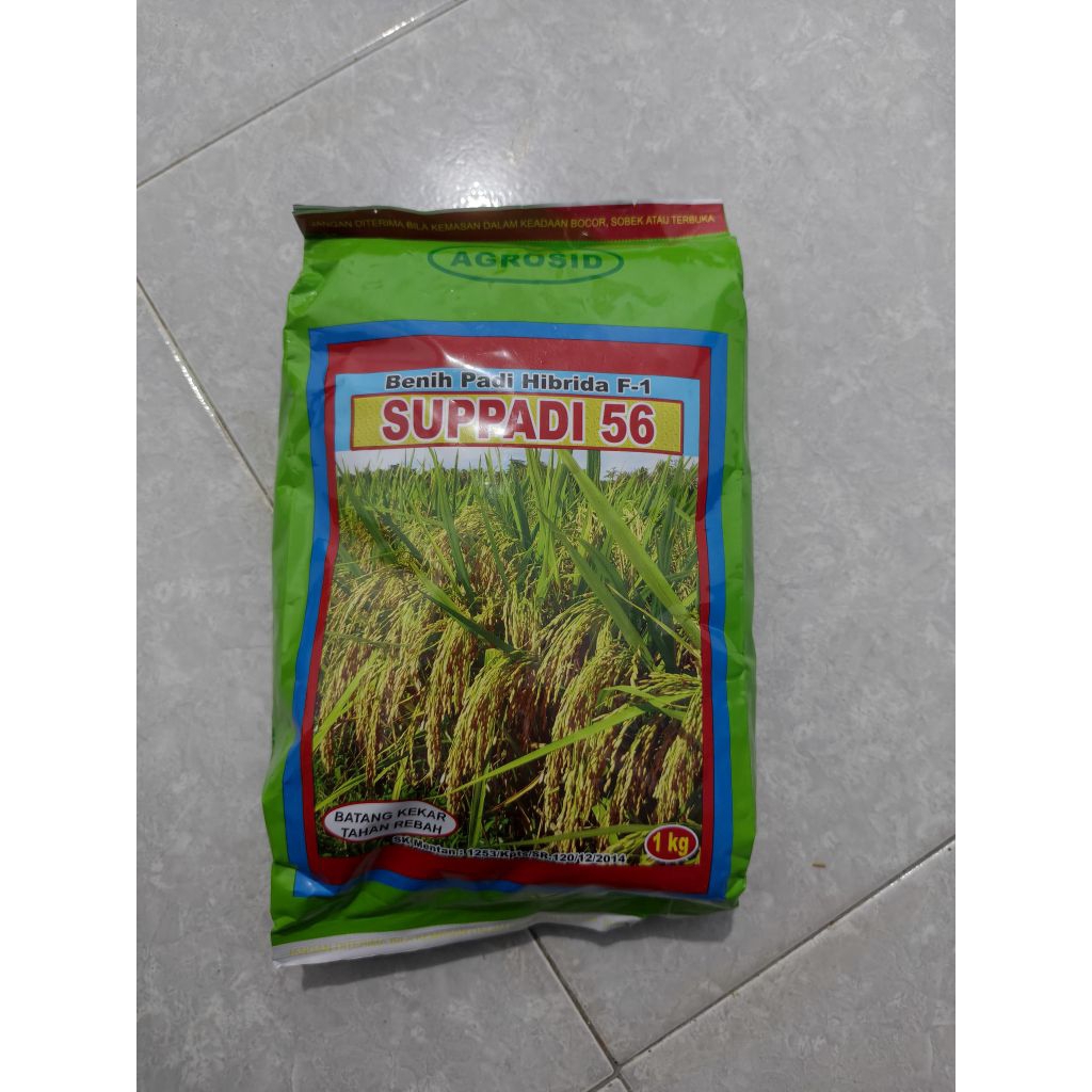 BENIH SUPADI 56 EXP 05/26