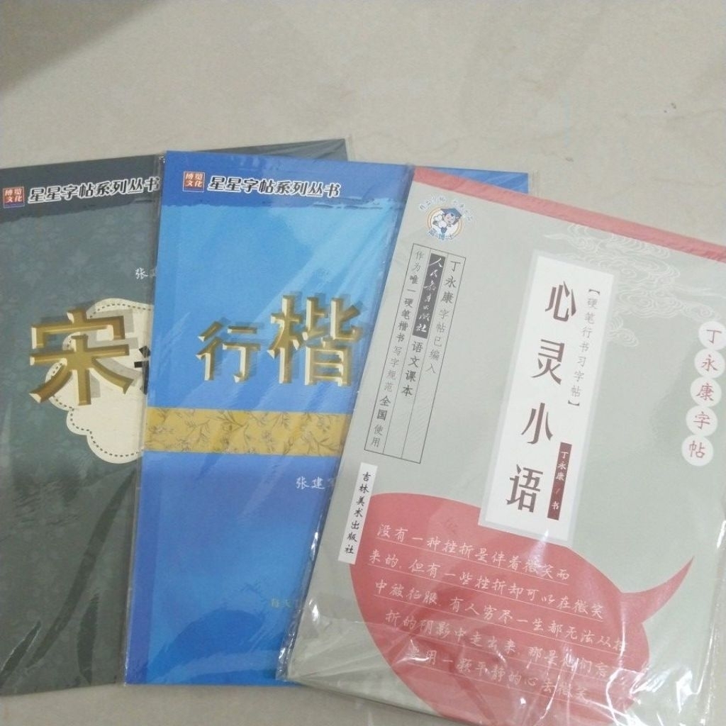 buku mandarin latihan menulis mandarin gangbi shufa karya kaligrafi