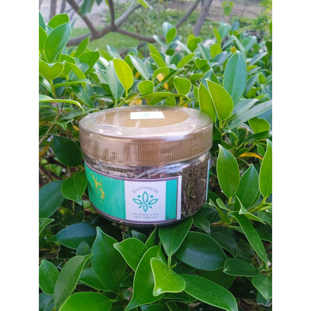 HERBAL TEA original teh hitam putih pucuk kamelia sinesis