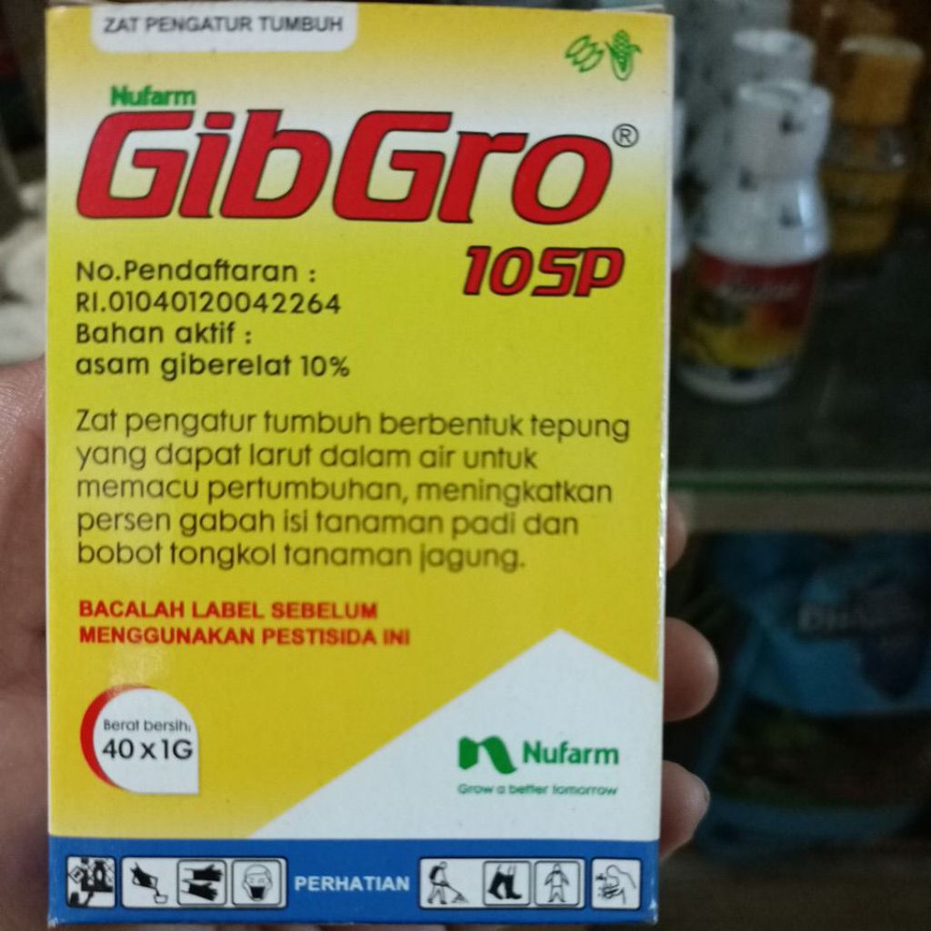GIBRO 10SP(40gram/1 kotak) untuk meningkatkan persen gabah isi padi dan bobot tanaman jagung