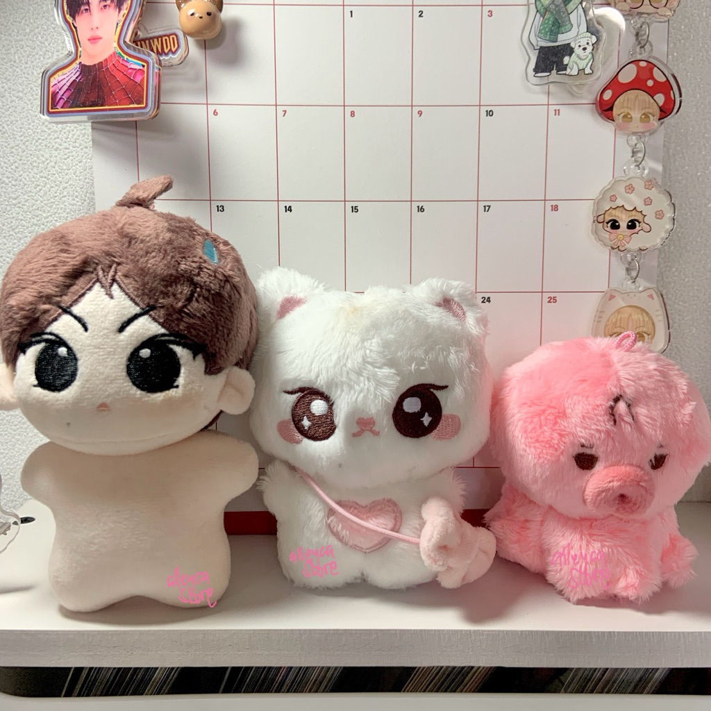 THE BOYZ SUNWOO ENHYPEN JUNGWON DOLL