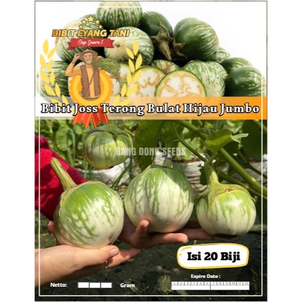 Bibit Joss Terong Bulat Hijau Jumbo | Biji Benih Terong Bulat Jumbo | Terong gelatik