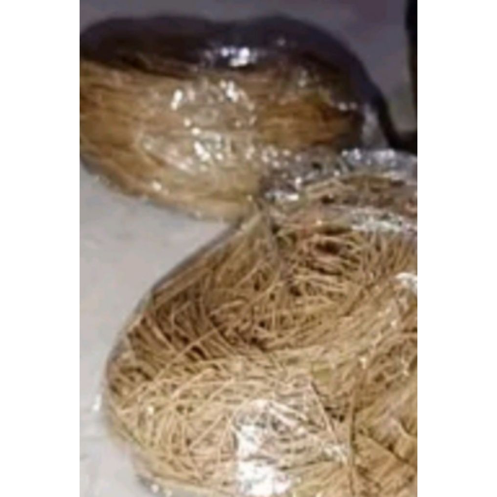 Sarang Burung Murai Batu Bahan Daun Cemara