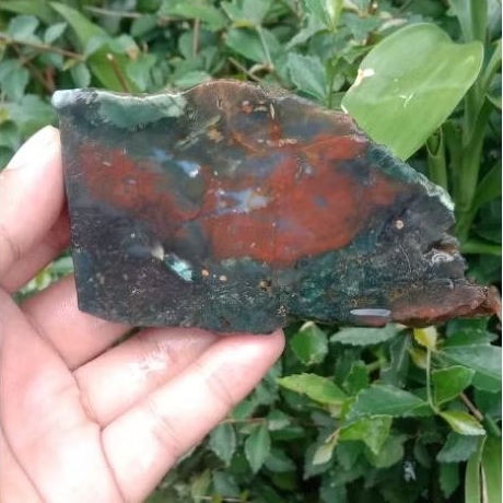 Batu akik Klawing pancawarna super/ lempengan batu akik klawing super