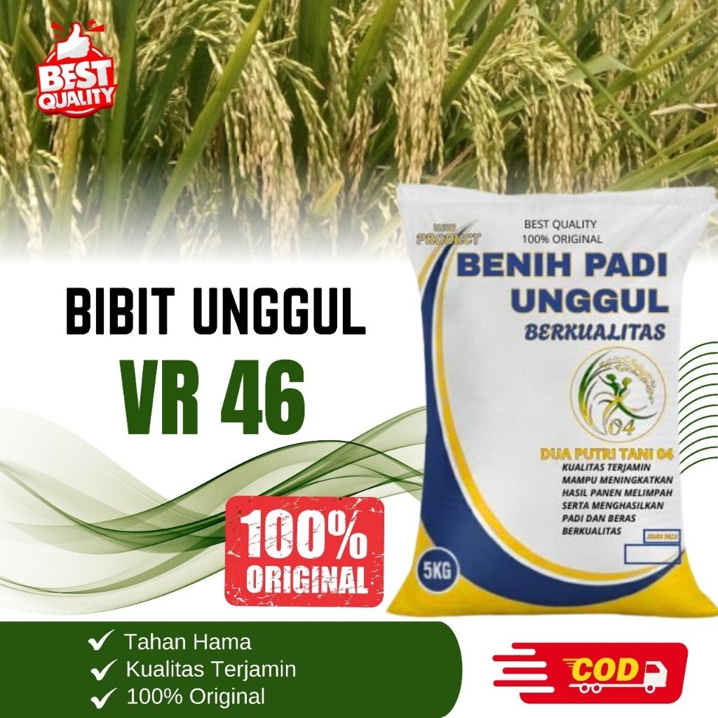 bibit PADI VR 46 SUPER kemasan 5kg