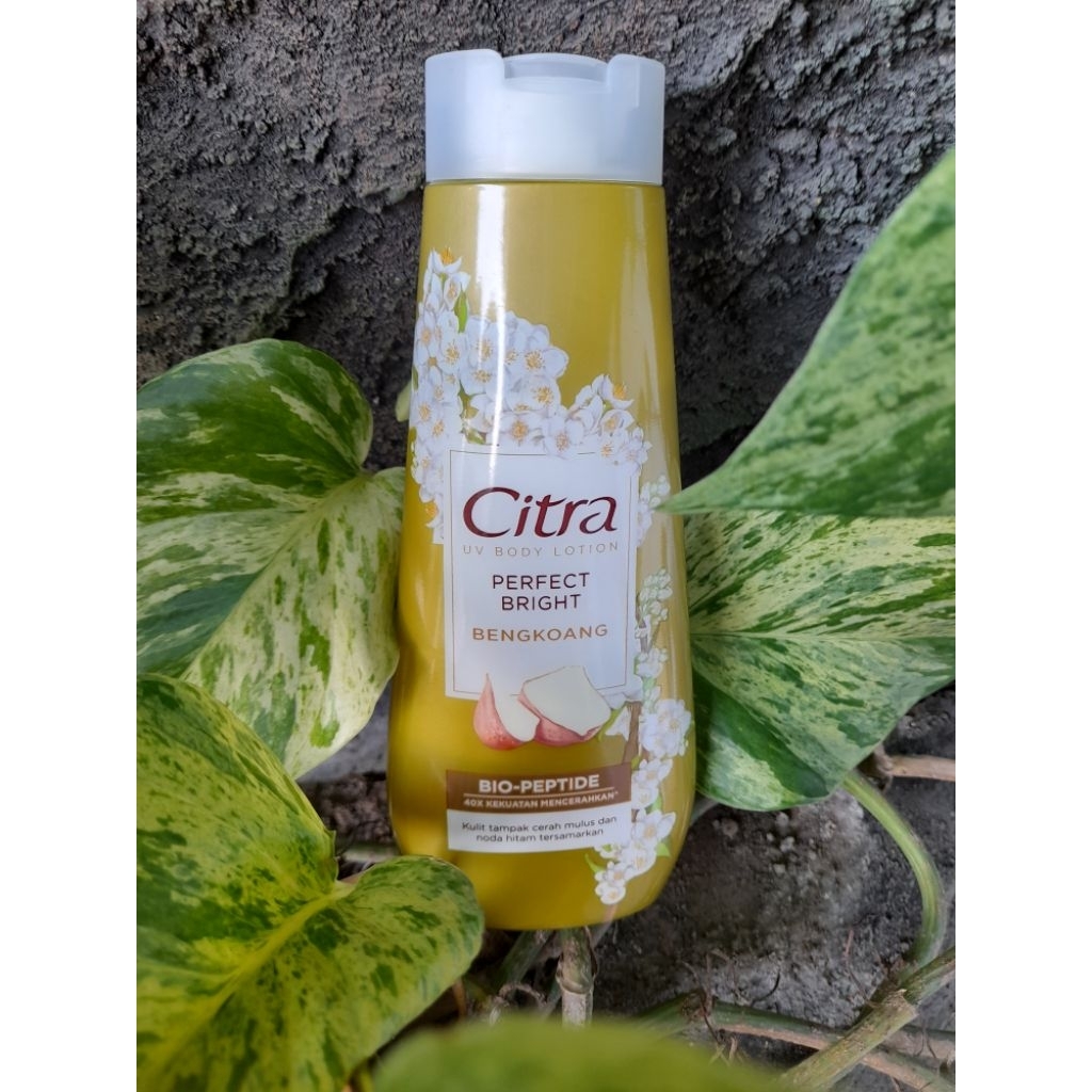 Handbody CITRA 210ml Bengkoang
