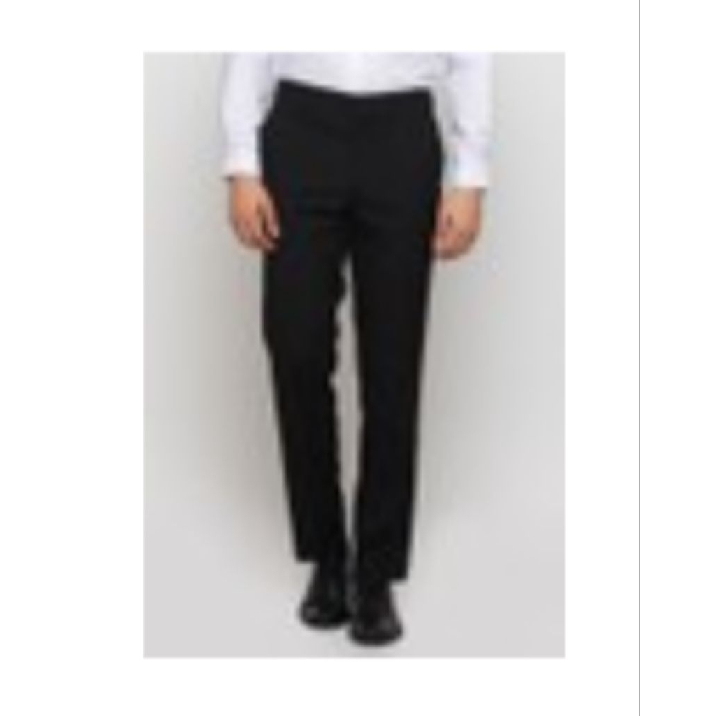 celana pria The Executive Regular Fit Long Pants