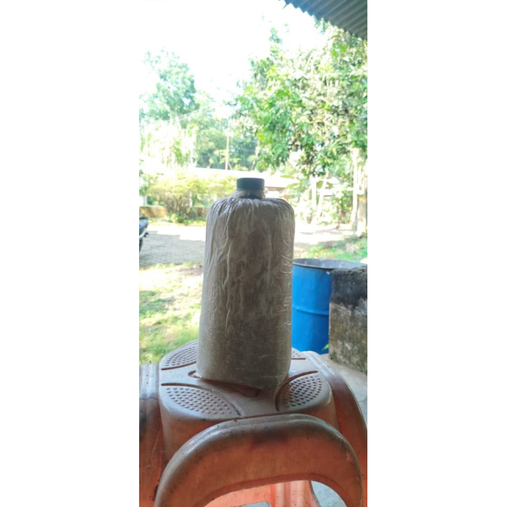 JUAL Baglog jamur tiram putih f2,harga murah
